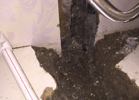 繁昌卫生间测漏水哪家好