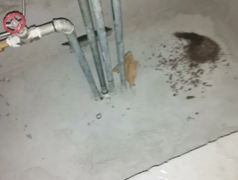 繁昌卫生间测漏水价格明细